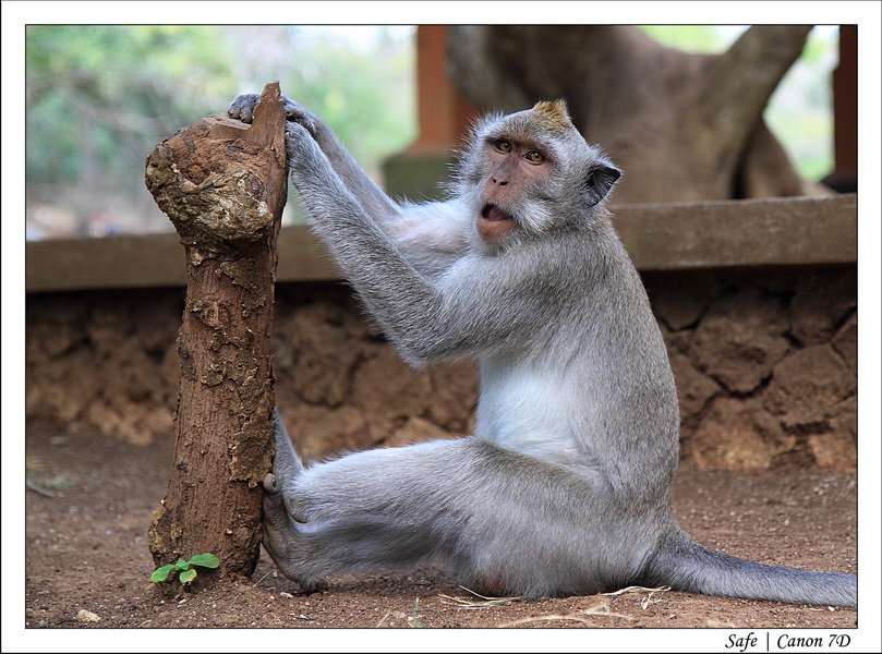 2012 - 07 - Bali - 19